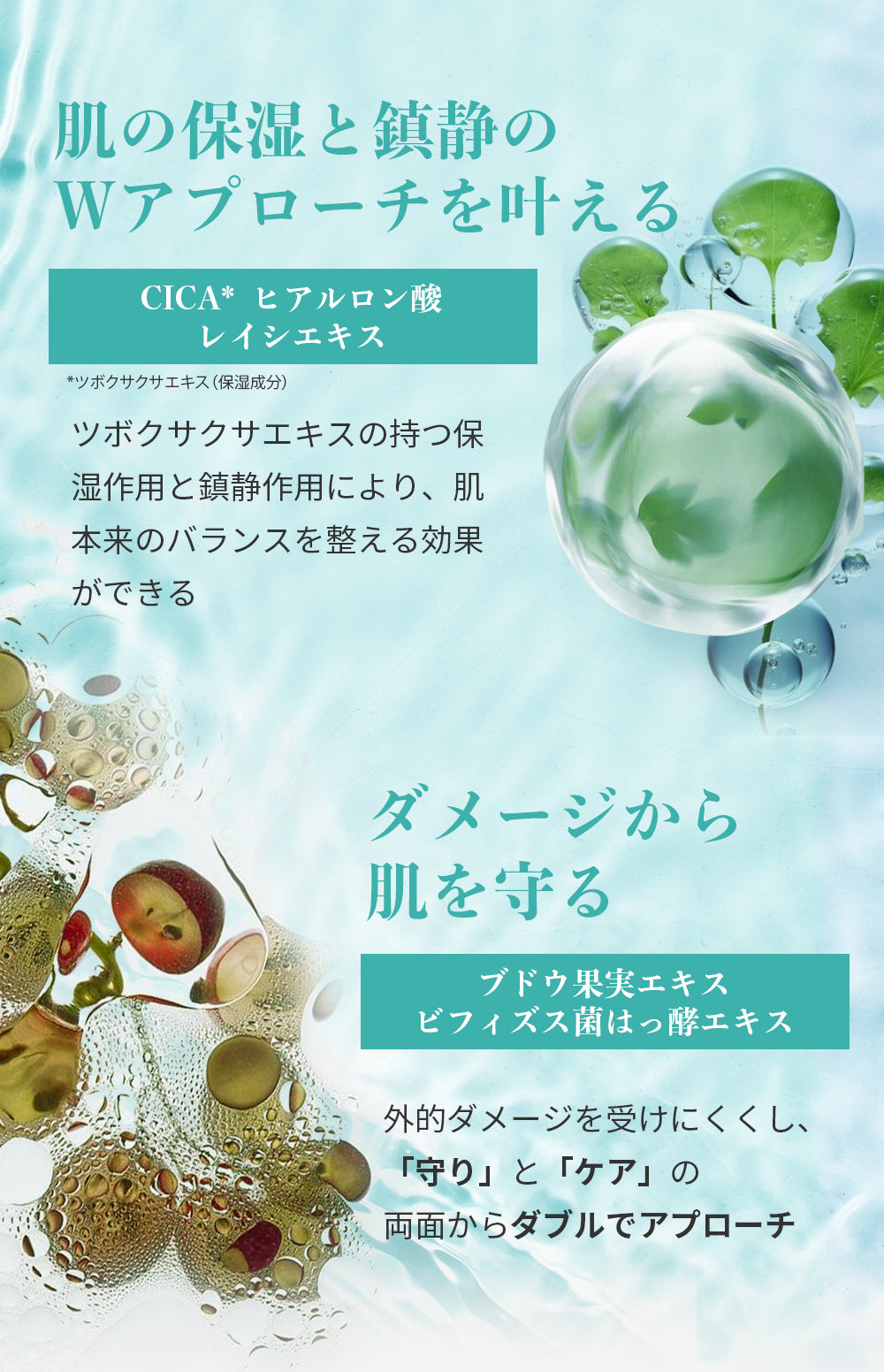 アネトス バランシング トリートメント トナーのCICA成分とヒアルロン酸で肌を保湿する高機能化粧水