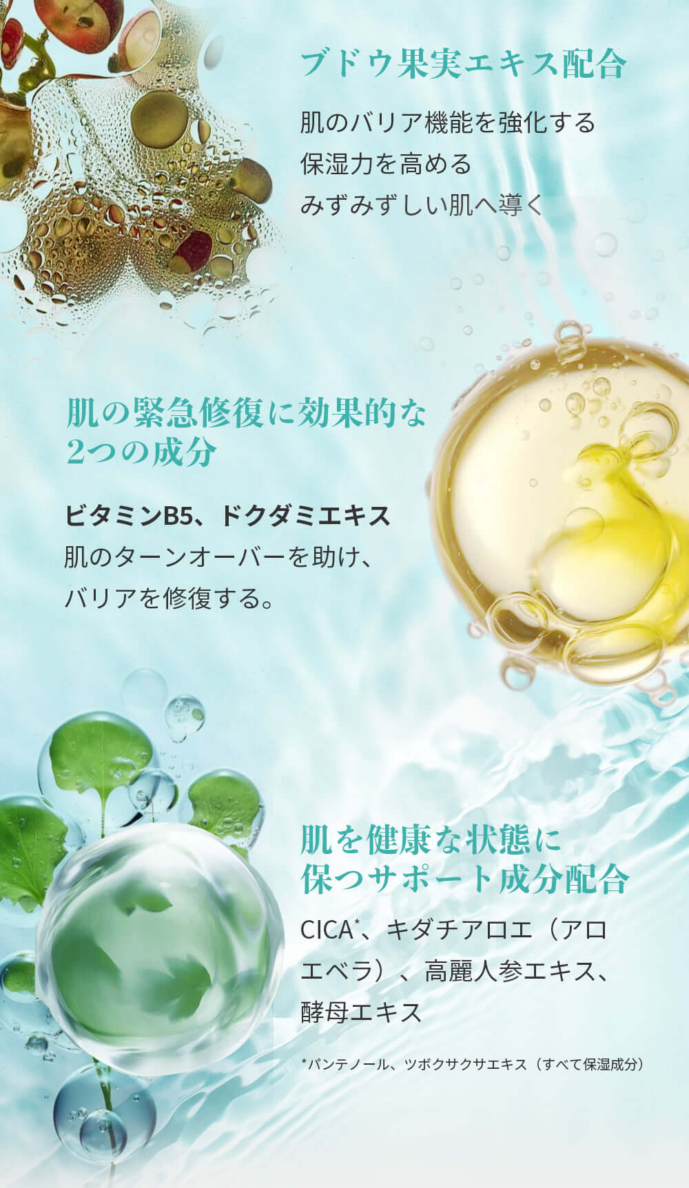 アネトス バランシング トリートメント クリームの成分が示された画像。ブドウ果実エキスやビタミンB5が含まれています。