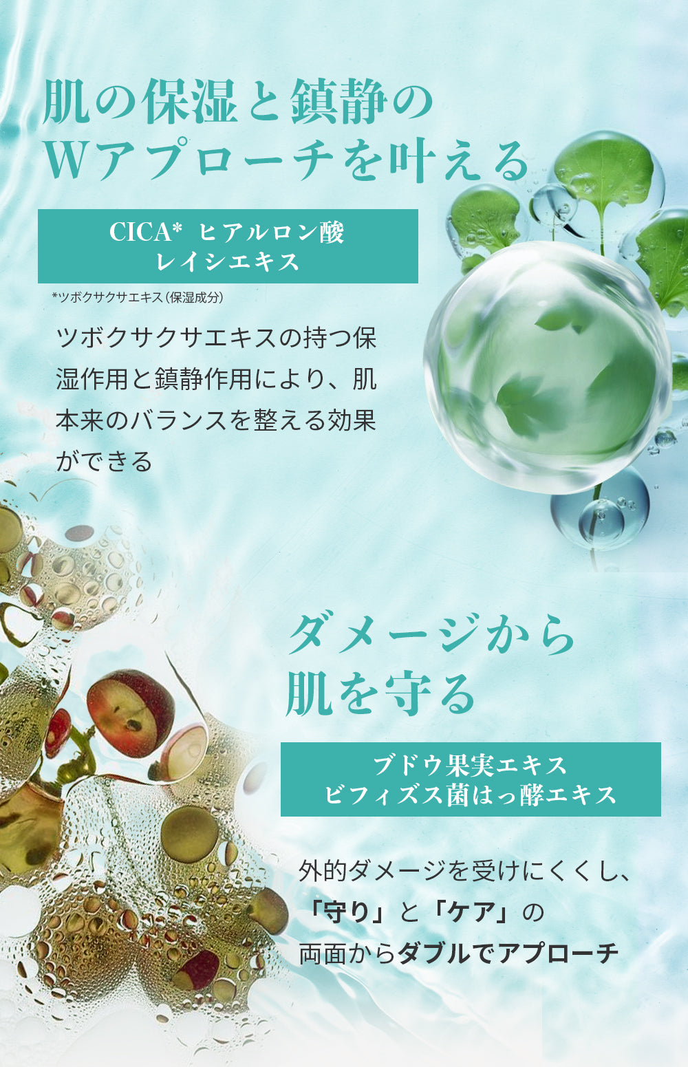 22:00 アネトス 3点セット（クレンザー＋トナー＋セラム） – Anetoskin