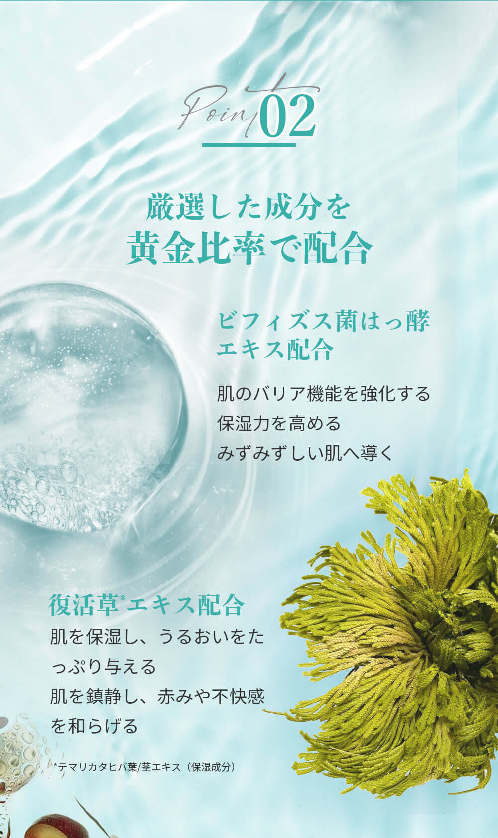 繰り返すニキビ・赤みに。Anetos 22:00 集中リペアセット | 公式