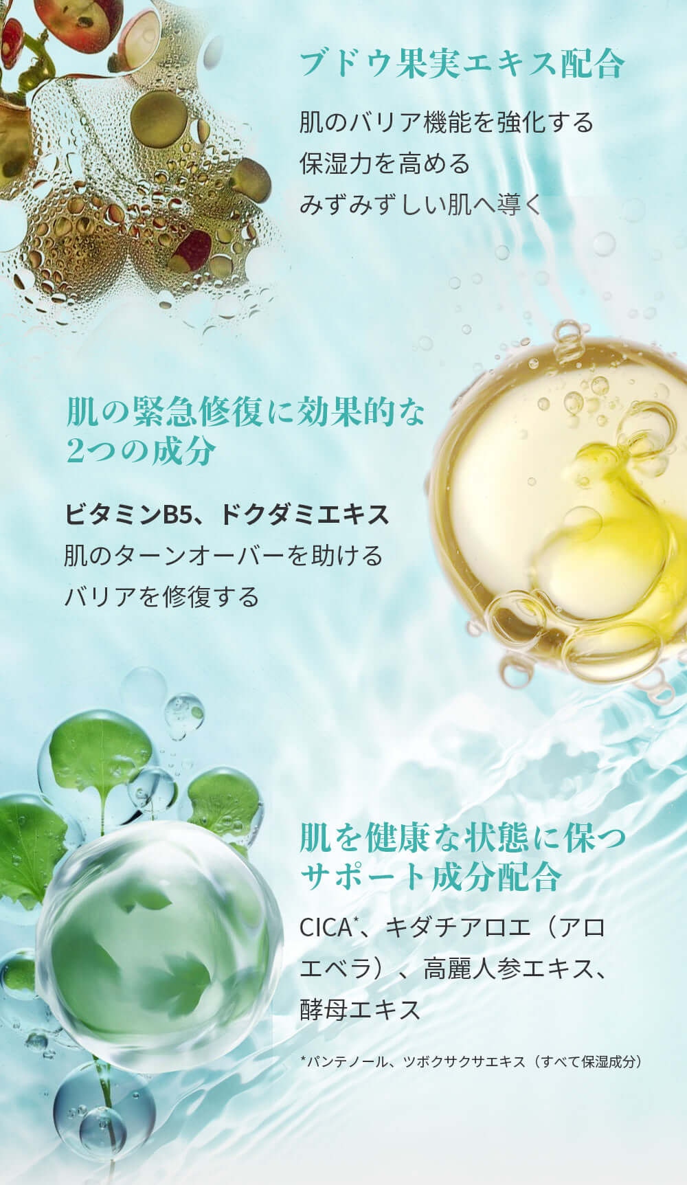 繰り返すニキビ・赤みに。Anetos 22:00 集中リペアセット | 公式