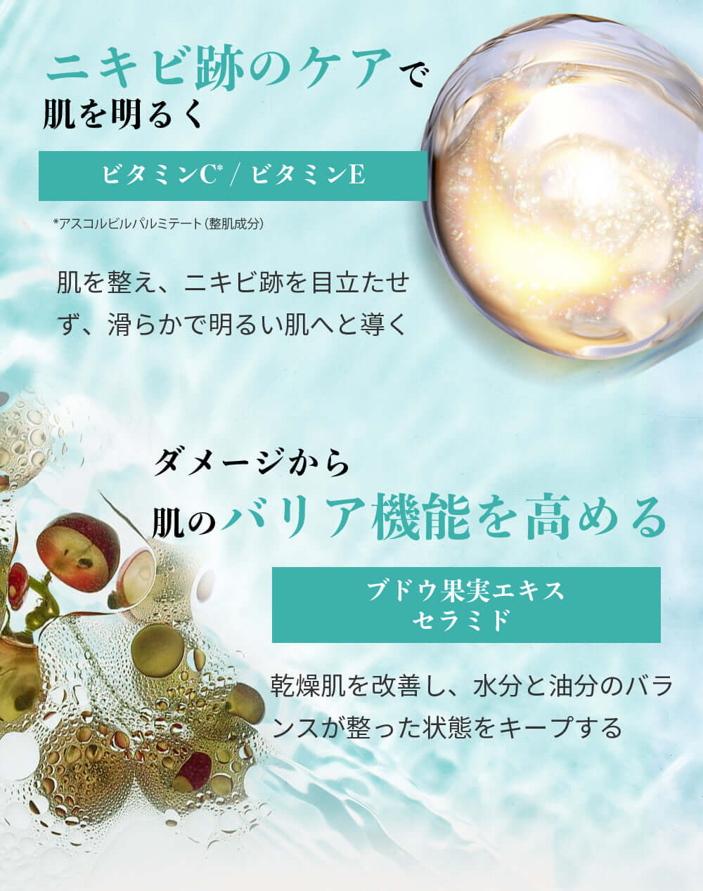 アネトス 美容液 定期購入 2回目以降 20%OFF 特典