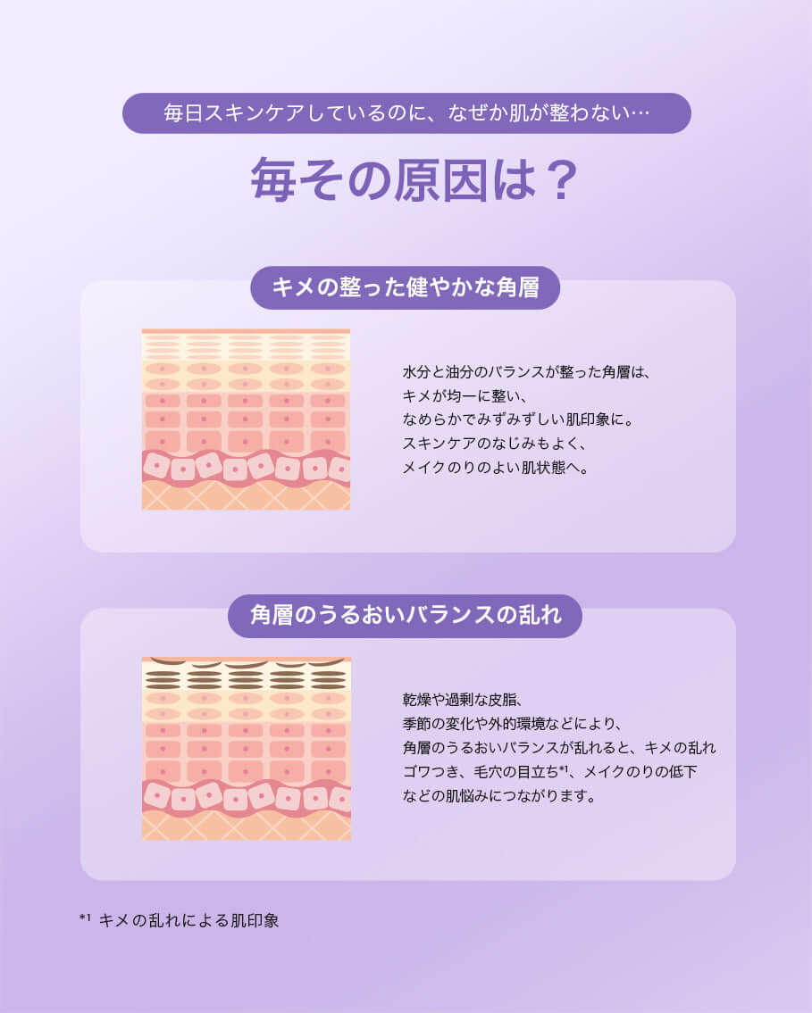 使用方法を紹介する画像：肌の健康と角層のバランスの重要性を解説した図
